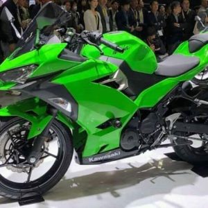 Kawasaki Ninja  New