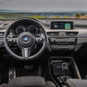 New BMW X