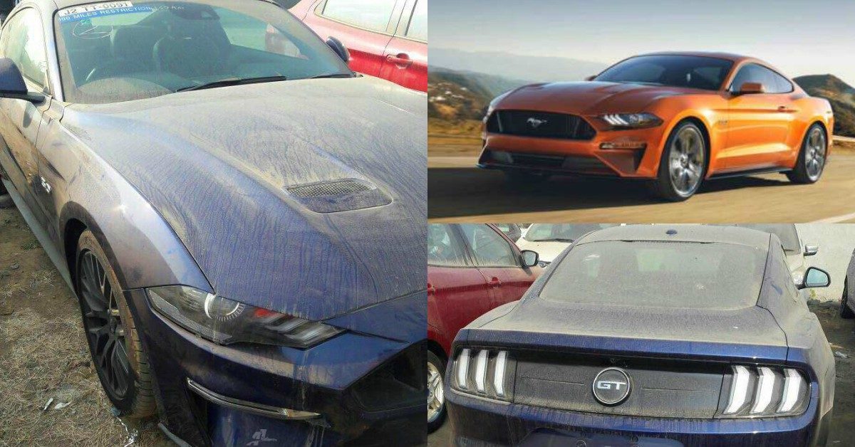 Ford Mustang GT collage