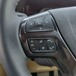 Ford Endevour steering controls