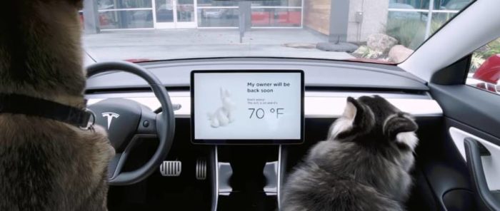 What Happens If You Jump Out Of A Tesla On Autopilot? | Motoroids