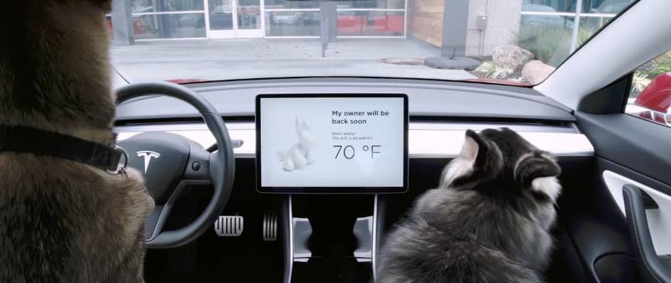 Tesla Dog Mode screen messege