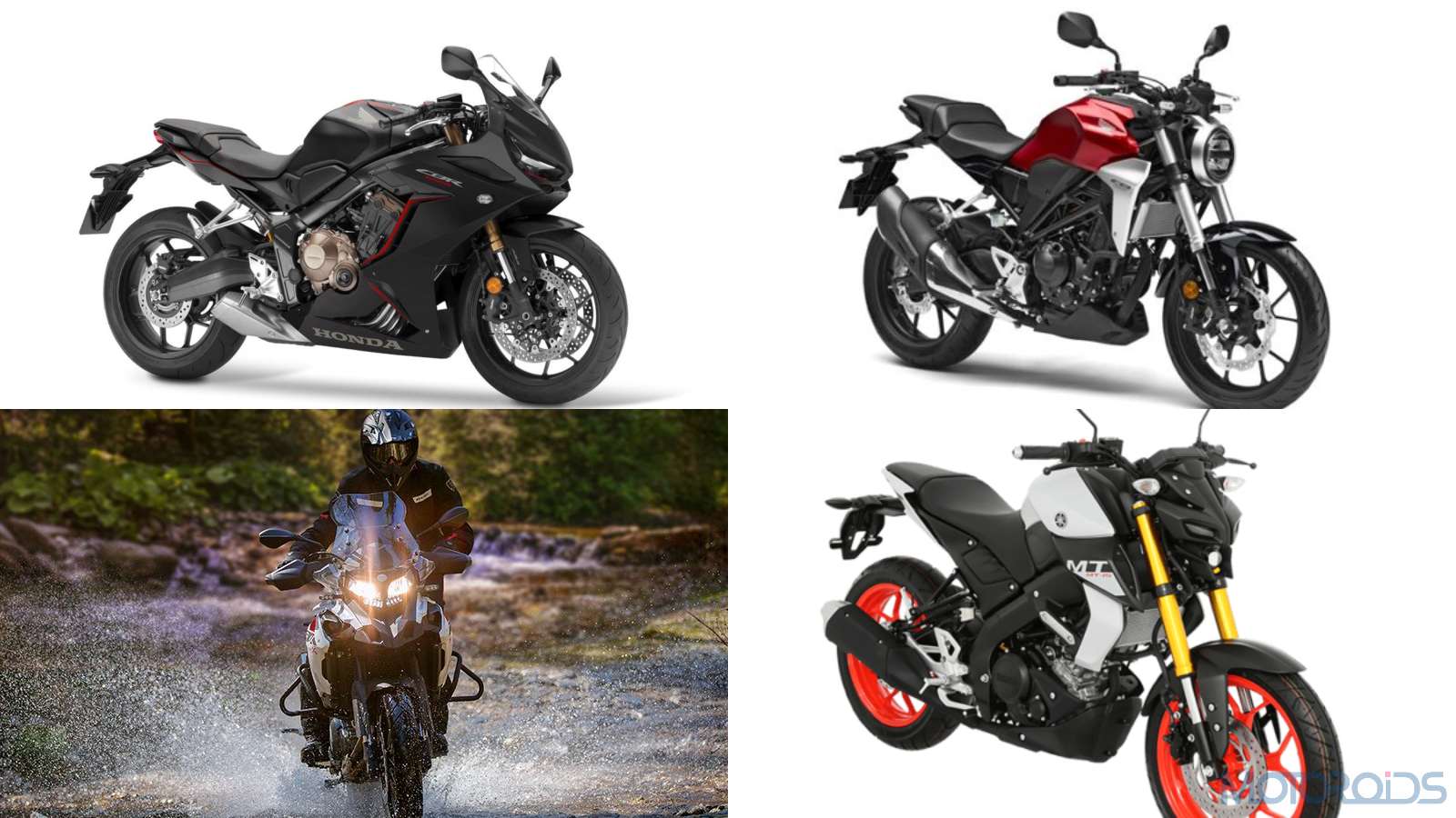 top upcoming bikes in 2019