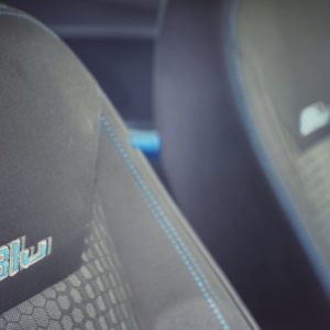 New Ford Figo Blu Badging
