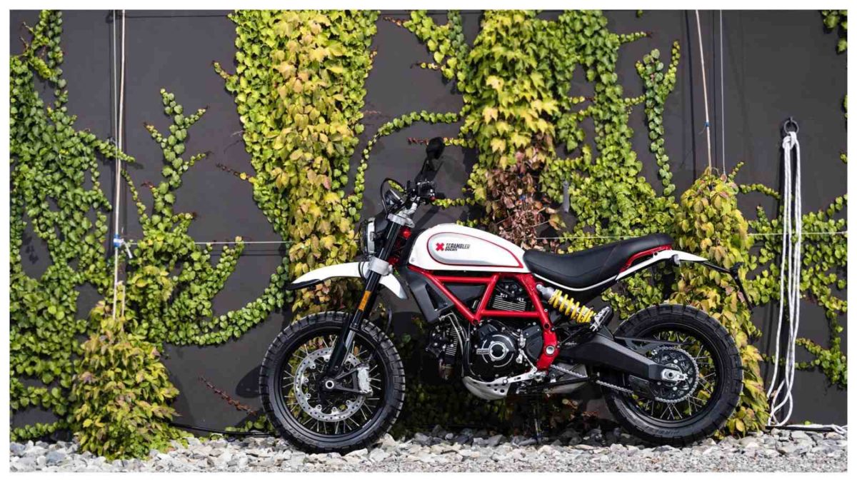 Ducati Scrambler Desert Sled[284]