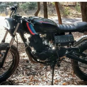 Pulsar  Scrambler mod nature side view