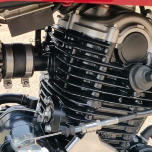 Bajaj Avenger Street  Review engine