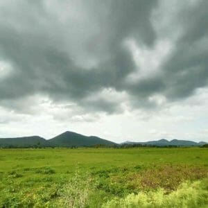 Mahindra Monsoon Adventure  Grassland