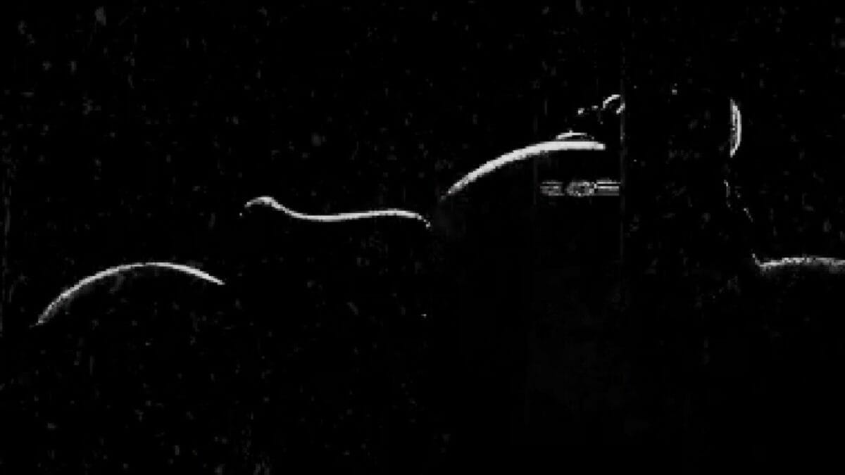 Jawa Perak Launch teaser
