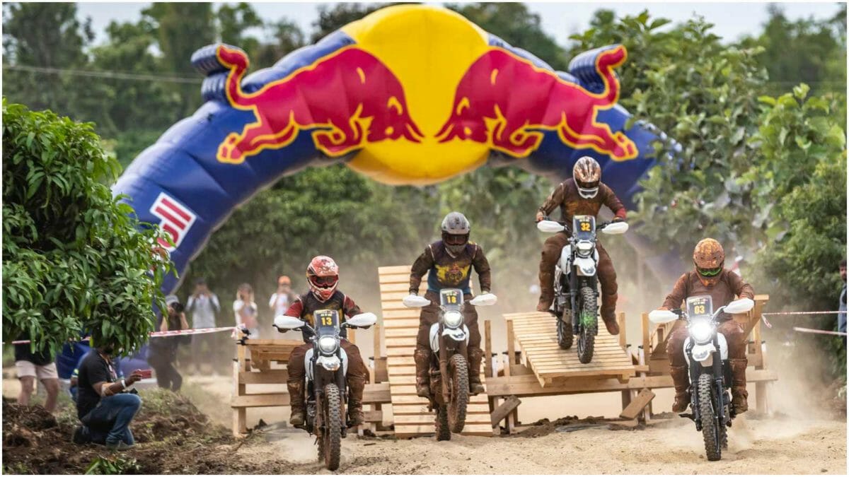 Red Bull Ace of Dirt