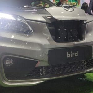 Haima Bird Electric EV