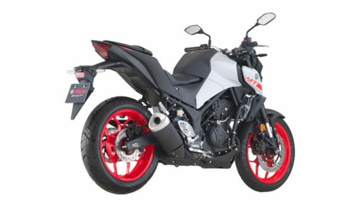 Yamaha MT 25 (2)