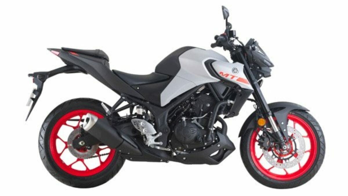 Yamaha MT 25 (3)