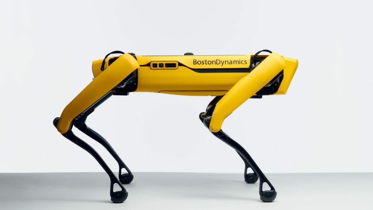 Boston Dynamics Dog Robot