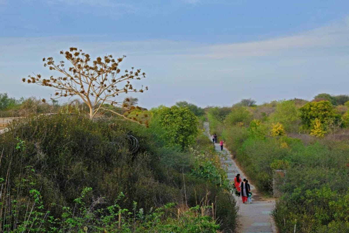 Aravalli biodiversity park