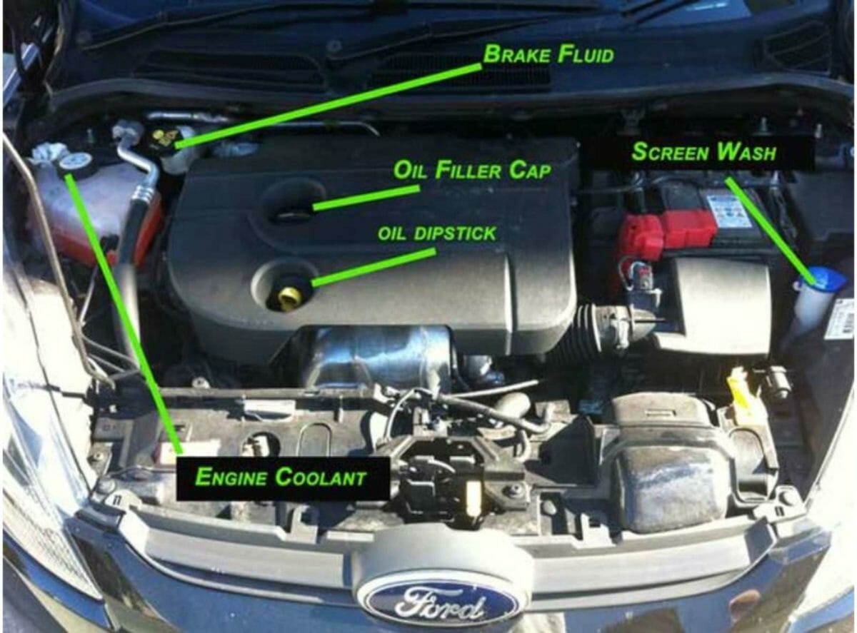 Car Fluid Check Guide Engine Bay