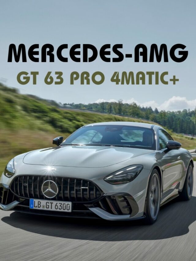 WhatsApp Image 2024-07-12 at 12.21.51 PM (1)