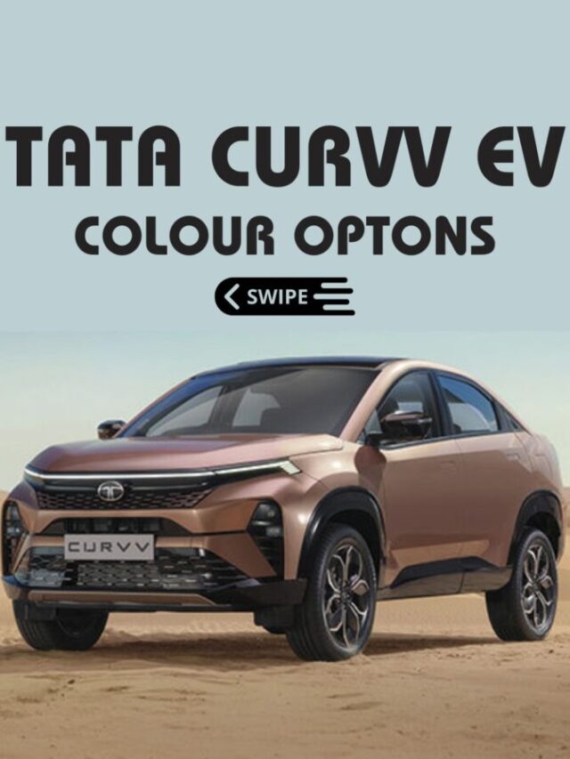 WhatsApp Image 2024-08-08 at 11.51.21 AM