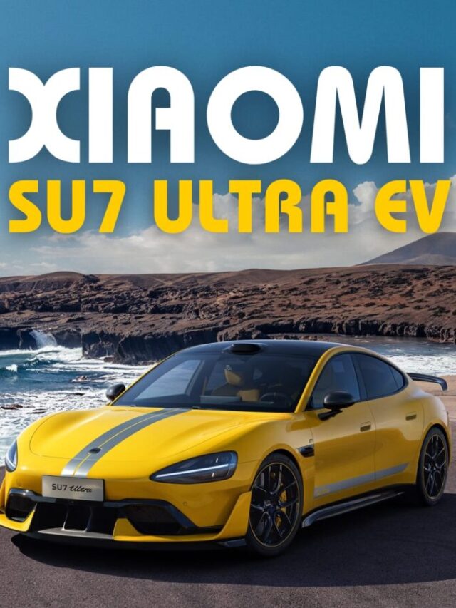 WhatsApp Image 2024-11-06 at 11.27.13 (2)