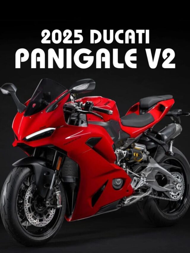 WhatsApp Image 2024-11-07 at 11.36.34 (1)